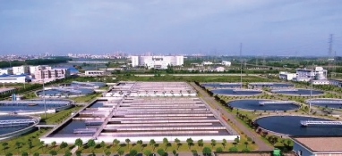 印制電路板助焊劑超聲波清洗機(jī)